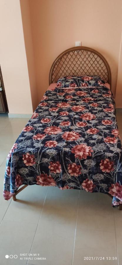Ioannis - Zimmer Mit Zugang Zu Terrasse Gavrolimni Ngoại thất bức ảnh